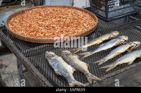 Fish and shrimps being naturally dried in the sun. Stock Photo