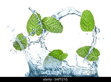 Mint leaves falling into water on white background Stock Photo