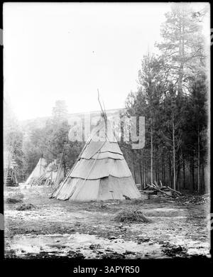 Photograph documenting camps on the Umatilla Indian Reservation ...