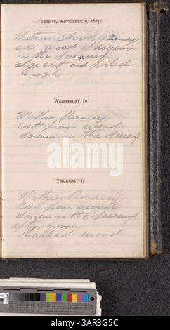This diary from 1875 contains daily records of activities, financial