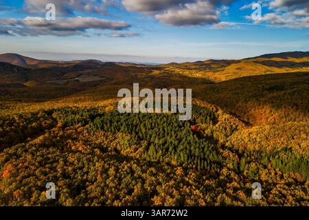 An aerial view of an autumn forest, glowing with warm hues of orange, red, and gold, as a winding road carves through the colorful scenery. Autumn in Stock Photo