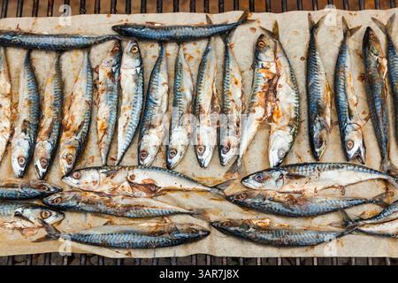 A lot of mackerel lies on parchment paper and is grilled. Stock Photo