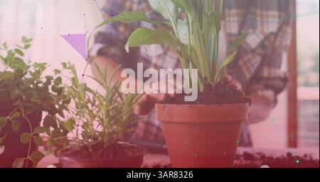 Image of shapes over biracial woman working in garden Stock Photo
