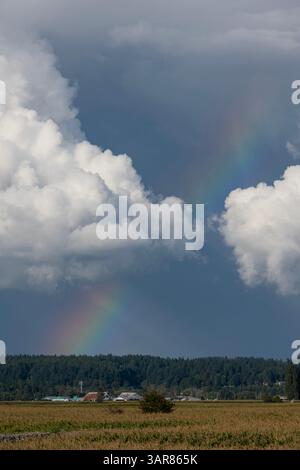 Dark storm clouds loom in the sky as a colorful rainbow emerges, arching over green fields and trees. Afternoon light casts a serene atmosphere on thi Stock Photo