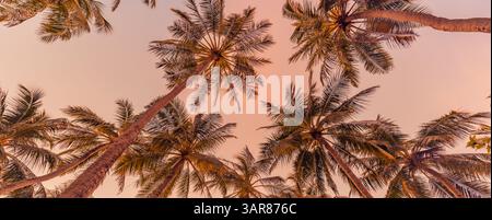 Look up at sunset sky palm trees golden pink, leaves tropical calm breathtaking. Perfect for dreamy escapes. Summer vacation wallpaper. Nature beauty Stock Photo
