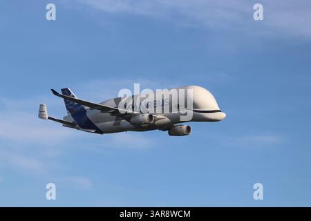 Airbus Beluga XL Stock Photo