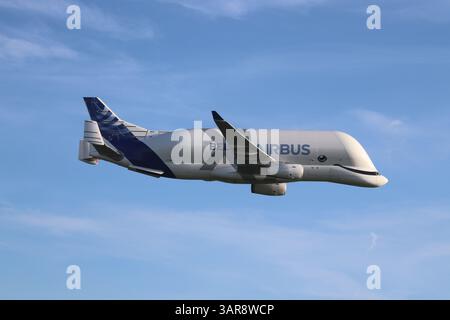 Airbus Beluga XL Stock Photo