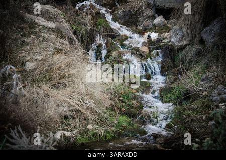 small stream in Ziria mountain, Peloponnese, Greece Stock Photo