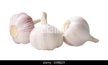 Side view of three white garlic bulbs in stack is isolated on white background with clipping path. Stock Photo