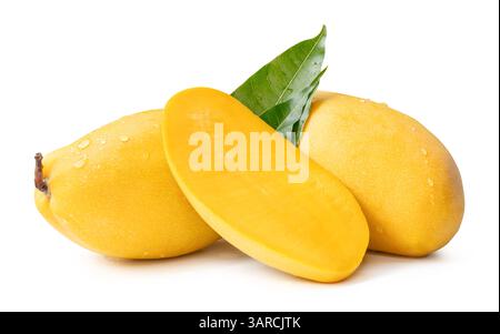 Two ripe yellow mango fruits and mango half with green leaves and water droplets in stack are isolated on white background with clipping path. Stock Photo