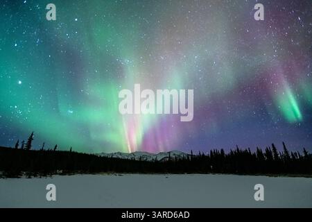 Northern Lights, Aurora Borealis, Alaska Stock Photo
