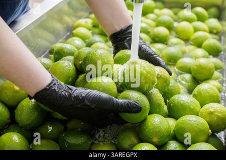 Worker wearing gloves washing fresh green limes under running water in food processing facility for hygiene and quality. Stock Photo