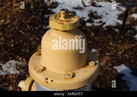 Close up of top of yellow metal fire hydrant Stock Photo