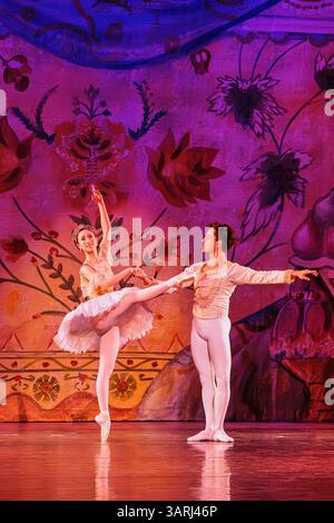 The Dance of the Sugar Plum Fairy with the Prince in the Nutcracker ballet Stock Photo