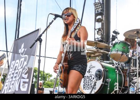 Music Group BAD SEED RISING performs in North Carolina. Bad Seed Rising ...