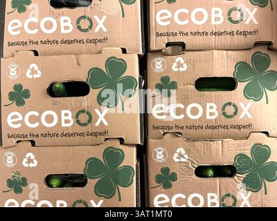 Cucumbers in Ecobox cardboard packaging, ready for distribution, recyclable and eco-conscious materials, Stock Photo