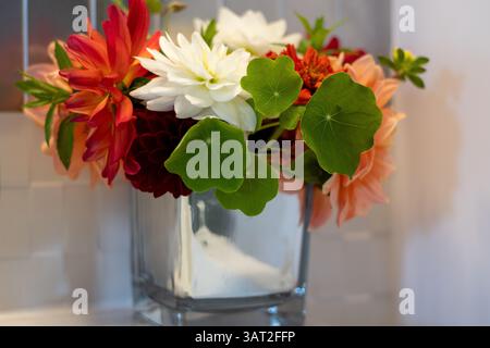 Multi-colored dahlias and orange nasturtiums in a mirror vase. Stock Photo