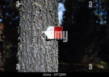 Red and white trail marker on tree in South Tyrol forest Stock Photo