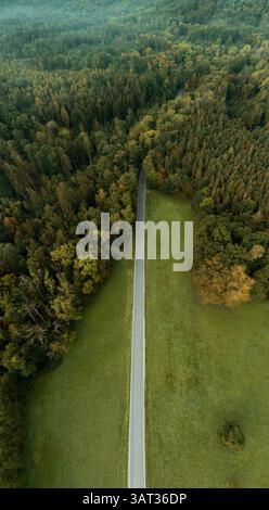 Aerial view with a road going into the forest, in Baden Wurttemberg, Germany. Vertical panorama with straight road and forest Stock Photo