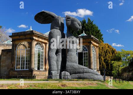 Sitting sculpture by Sophie Ryder on display at Yorkshire Sculpture Park near Wakefield,West Yorkshire,UK Stock Photo