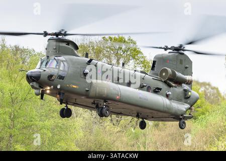 A Boeing Chinook HC6 military transport helicopter of the British Royal Air Force. Stock Photo