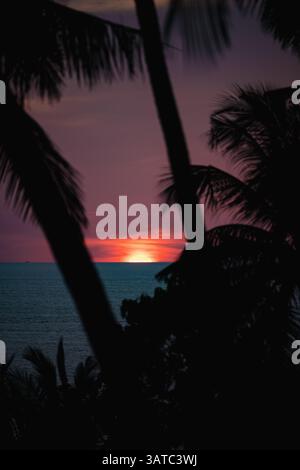 Tropical beach sunset with rich purple and orange sky, palm trees in shadow, and the sun partially hidden by the horizon. Stock Photo