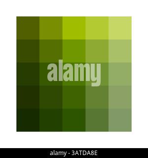 Olive green palette. Warm tone blocks. Natural vector swatch. Earthy hue scale. Stock Vector