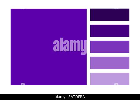 Purple color palette. Gradient vector sample. Rectangular swatch chart. Smooth violet tones. Stock Vector