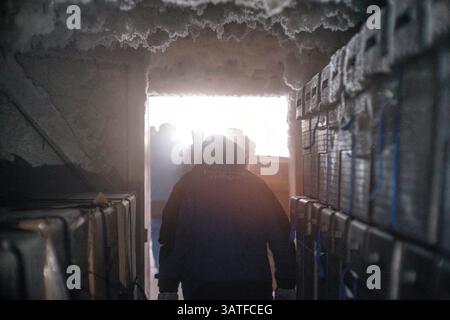 Scientists come to recover an ice core stored in an underground cellar. These ice cores contain the climate archives of the past. The cores in questio Stock Photo