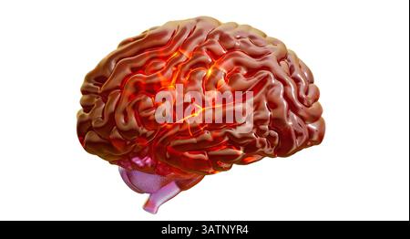 Human brain, illustration. Stock Photo