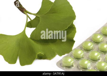 Green tablets with gingko leaves - cropped on a white background Stock Photo