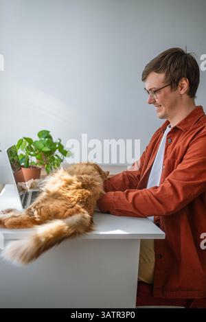 Ginger cat lounging on a white desk, remaining undisturbed while its owner, a young man, works intently on a laptop in a cozy home office filled with natural light Stock Photo
