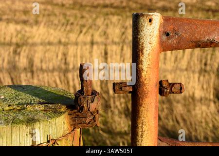 Rusty and decayed broken hinge on a farm gate, near the village of Mey, Caithness, Scotland, UK Stock Photo