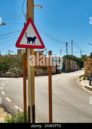 Road sign warning of cats crossing street Stock Photo - Alamy