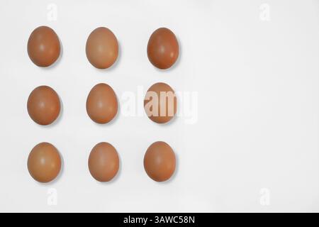 Raw brown chicken eggs on a white background with copy space. Stock Photo
