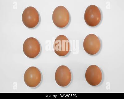 Raw brown chicken eggs on a white background with copy space. Stock Photo
