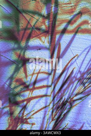 Abstract art of a textured wall, featuring overlaying plant silhouettes in striking colors, showcasing textures and tones. Tropical palm leaves shadow Stock Photo