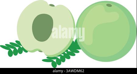 Indian Amla Fruit Green Fresh Stock Vector