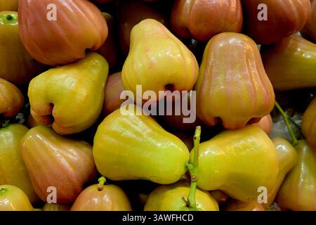 Fresh bell-shaped, edible rose apple berries, commonly known as chompoo in Thailand, for sale at a market stall Stock Photo
