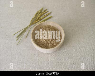 Uncooked spelt couscous in a wooden bowl and spelt ears Stock Photo