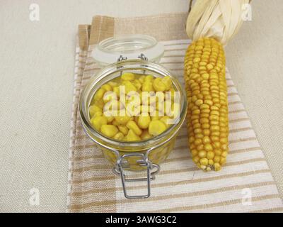 Cooked corn kernels in a jar Stock Photo