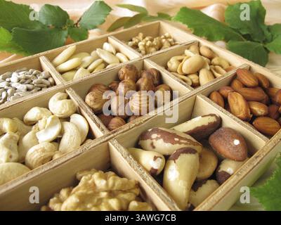 Nuts in a wooden box Stock Photo