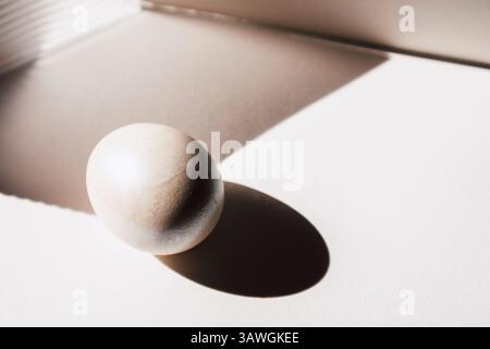 A simple, natural image showcases a white egg with a distinct shadow, under warm sunlight. The composition is minimal and highlights light and shape. Stock Photo