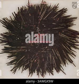 Lizzy mercier descloux hi-res stock photography and images - Alamy