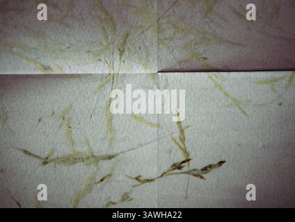 An abstract image featuring textured paper with folded lines, adorned with subtle natural elements for an organic design. Folds on paper in dark key. Stock Photo