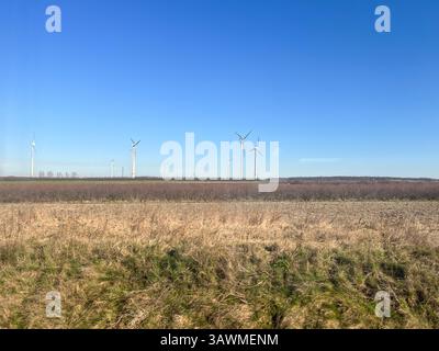 A wide rural landscape with multiple wind turbines generating renewable energy under a clear blue sky. Dry grass and distant trees emphasize harmony w Stock Photo