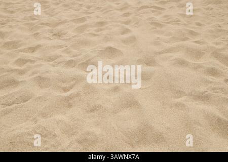clean fine beach sand surface on bright sunny day, light beige or golden color soft and powdery particles, natural background of calming and natural Stock Photo