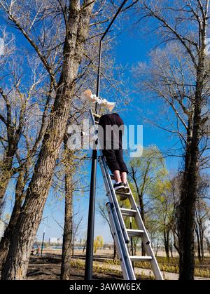 Worker installing security camera on lamp post. Stock Photo