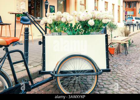 Cargo bike tricycle with white chrysanthemums bouquet parked near flower shop. Long john bicycle cart carrying flowers standing near floral store on c Stock Photo