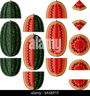 Set of Black Beauty Watermelon. Citrullus lanatus. Fruits and vegetables. Flat style. Isolated vector illustration. Stock Vector